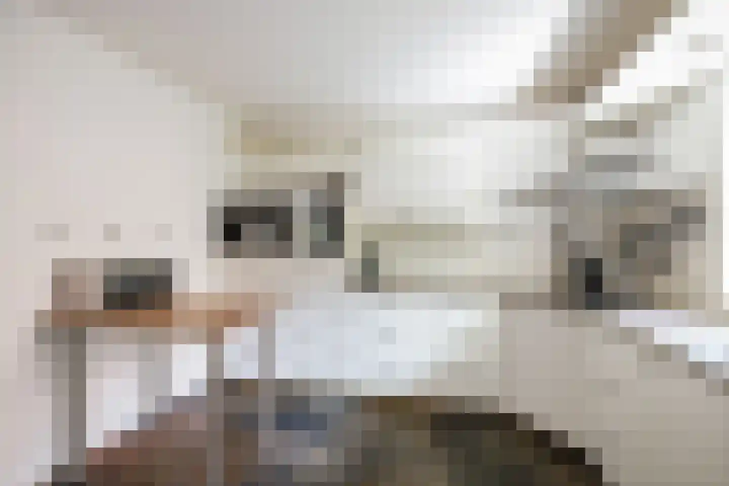 Molenallee 54 A Wilp thumbnail 12