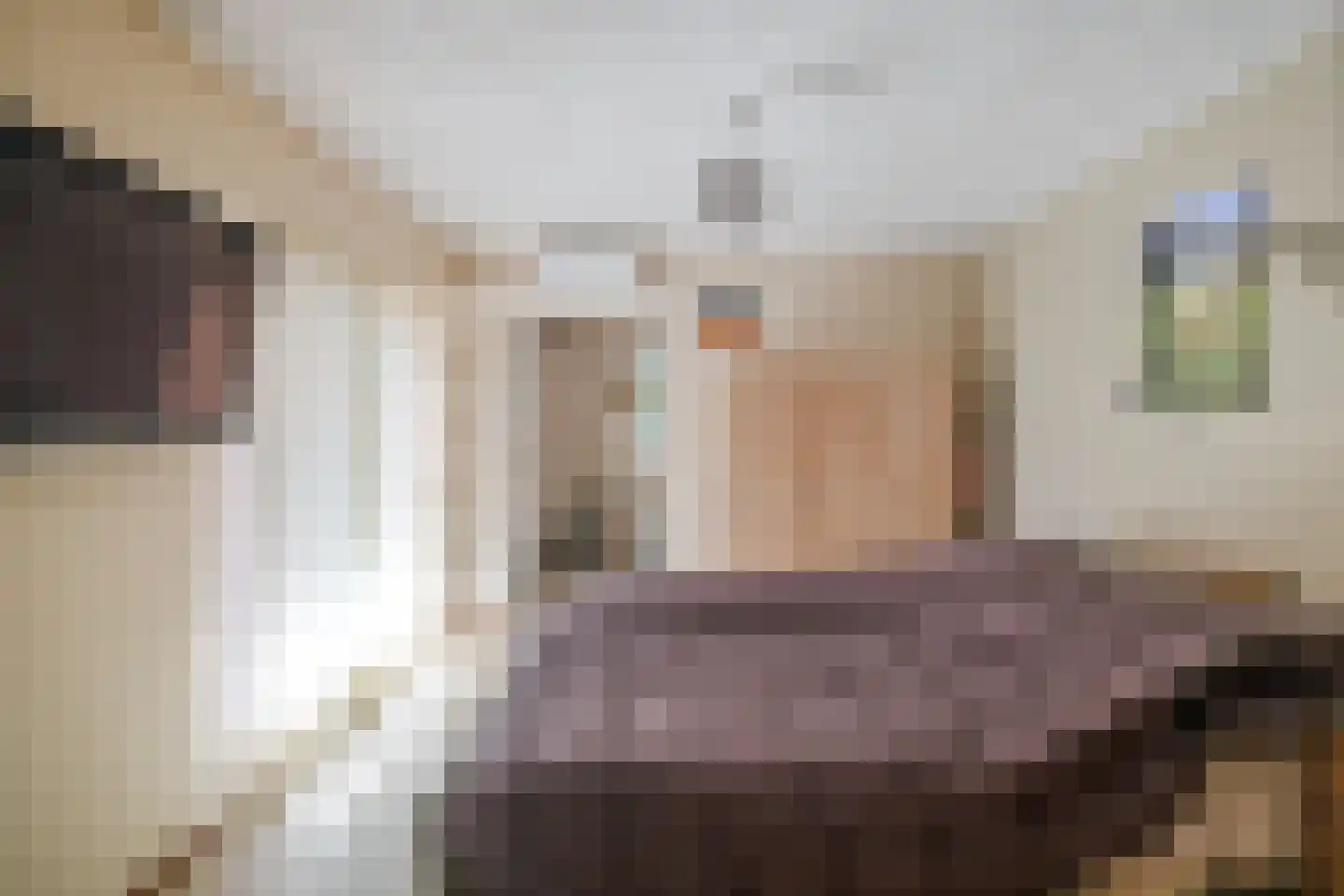 Molenallee 54 A Wilp thumbnail 16