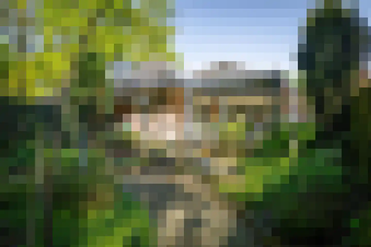 Molenallee 54 A Wilp thumbnail 33