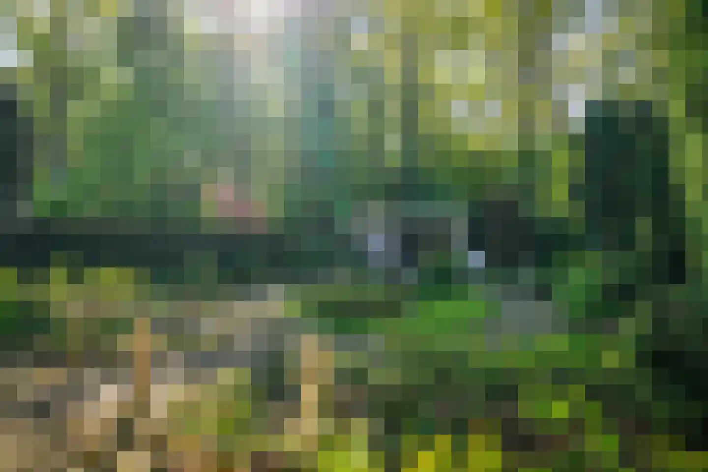 Molenallee 54 A Wilp thumbnail 38