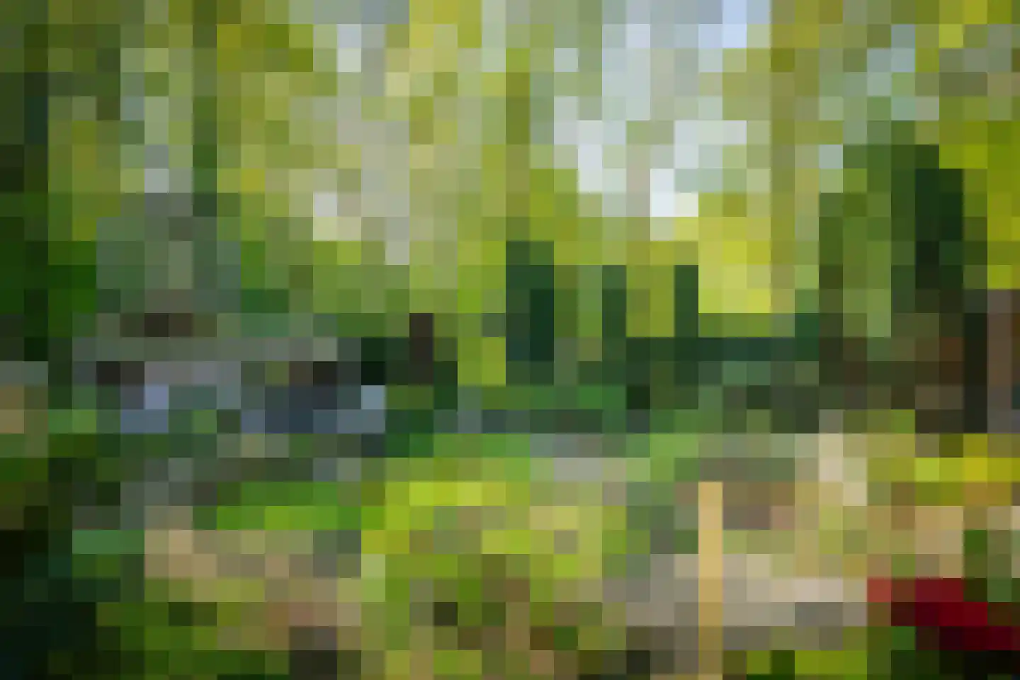 Molenallee 54 A Wilp thumbnail 39