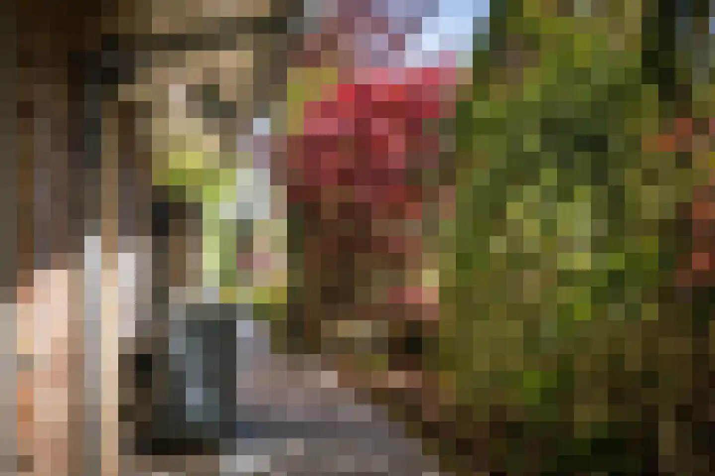 Molenallee 54 A Wilp thumbnail 41
