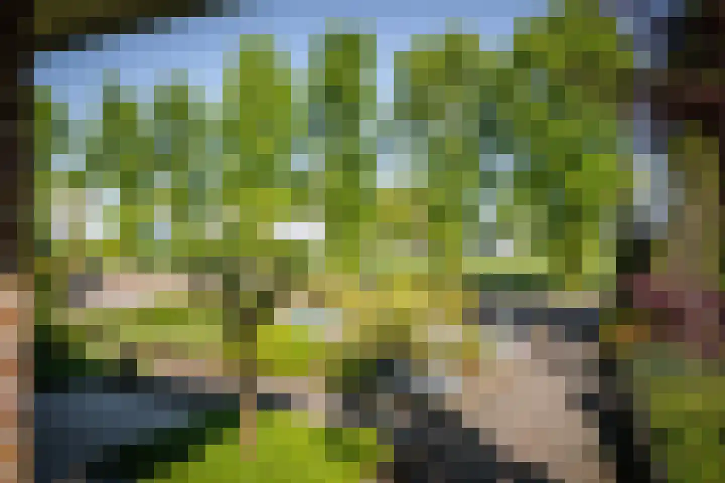 Molenallee 54 A Wilp thumbnail 42