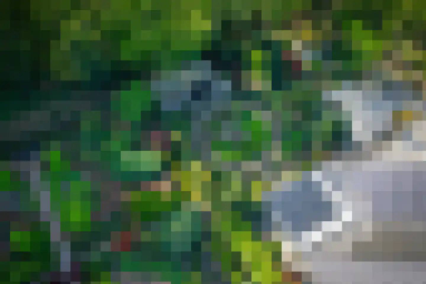 Molenallee 54 A Wilp thumbnail 43