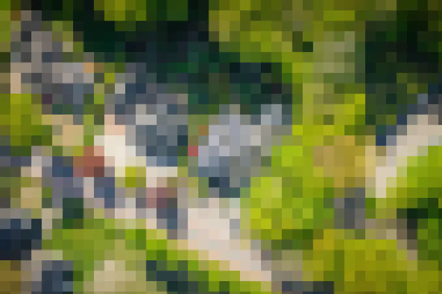 Molenallee 54 A Wilp thumbnail 44