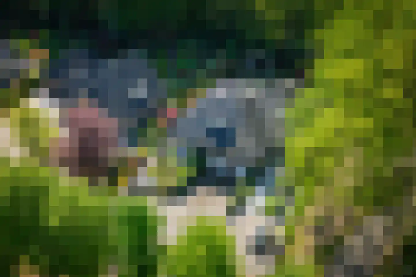 Molenallee 54 A Wilp thumbnail 45