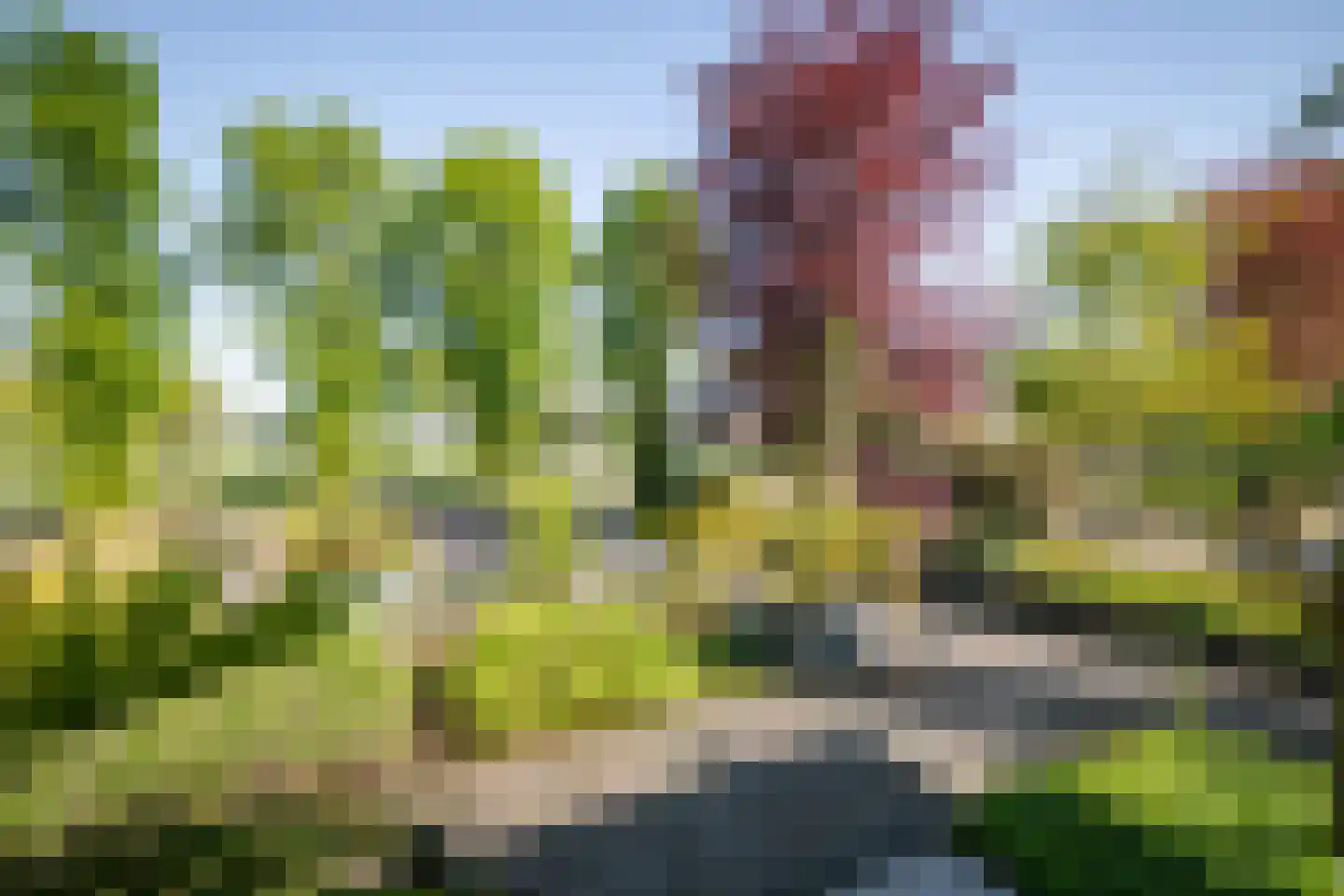 Molenallee 54 A Wilp thumbnail 46