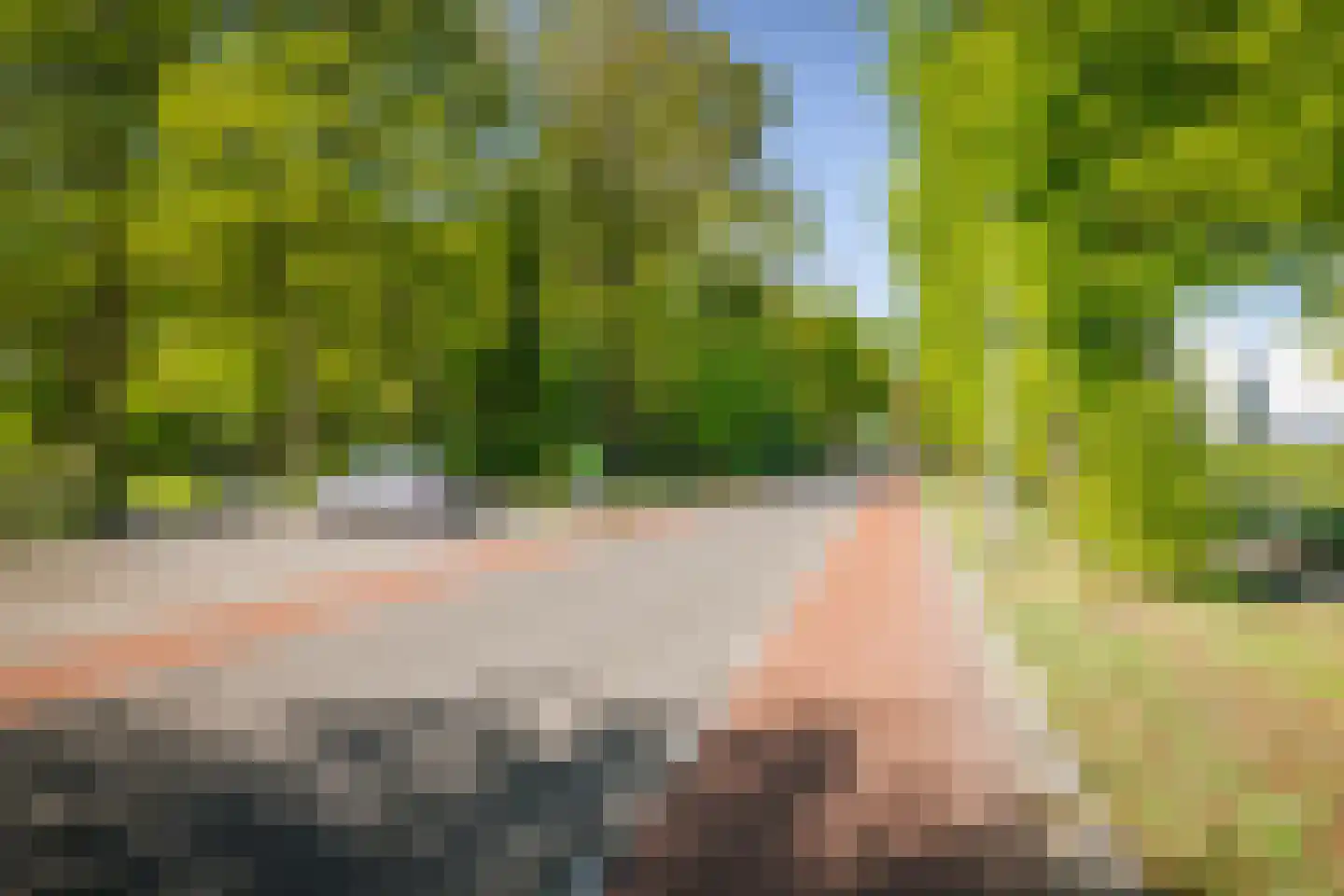 Molenallee 54 A Wilp thumbnail 47