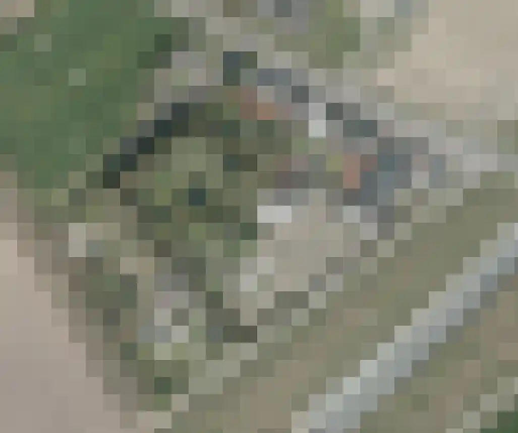 Molenbaan 1 Alphen thumbnail 7