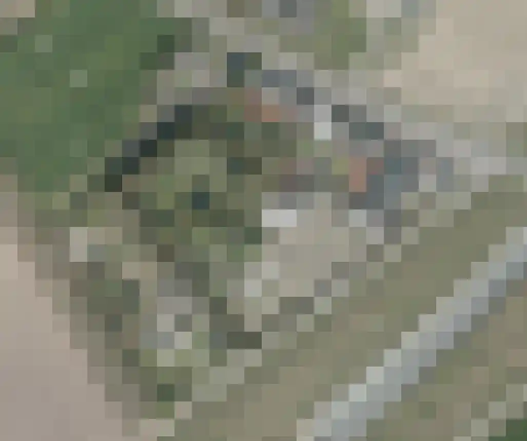 Molenbaan 3 Alphen thumbnail 7