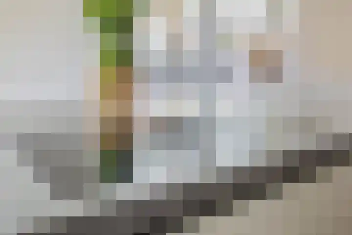 Molenbaan 3 Meijel thumbnail 23