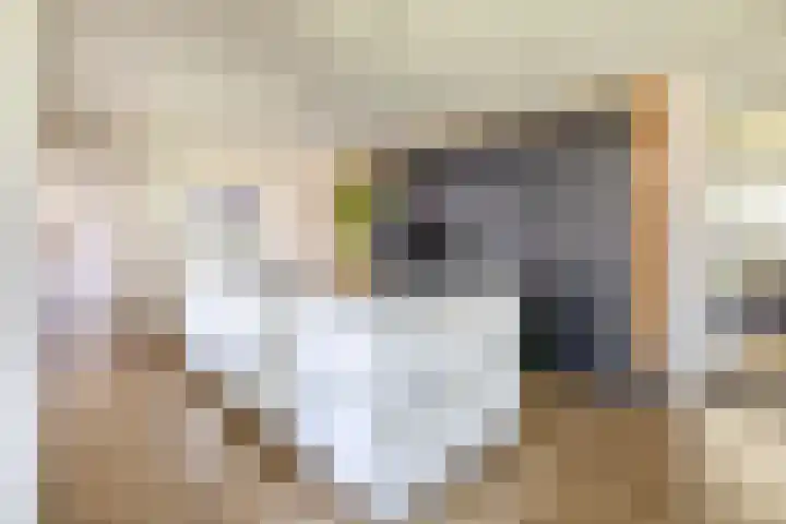 Molenbaan 3 Meijel thumbnail 25