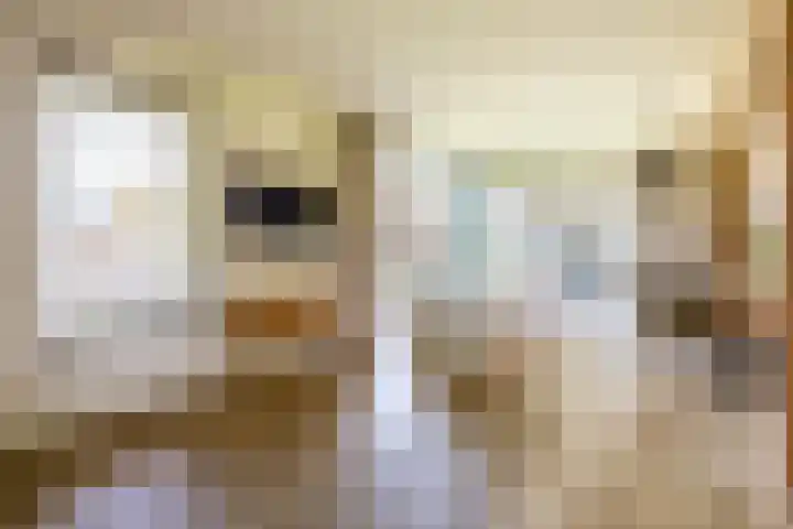 Molenbaan 3 Meijel thumbnail 28