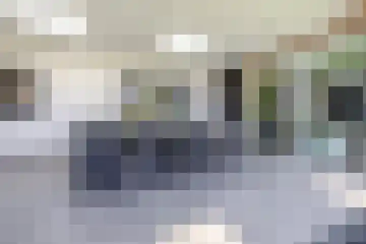 Molenbaan 3 Meijel thumbnail 30