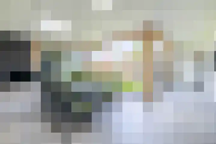 Molenbaan 3 Meijel thumbnail 31
