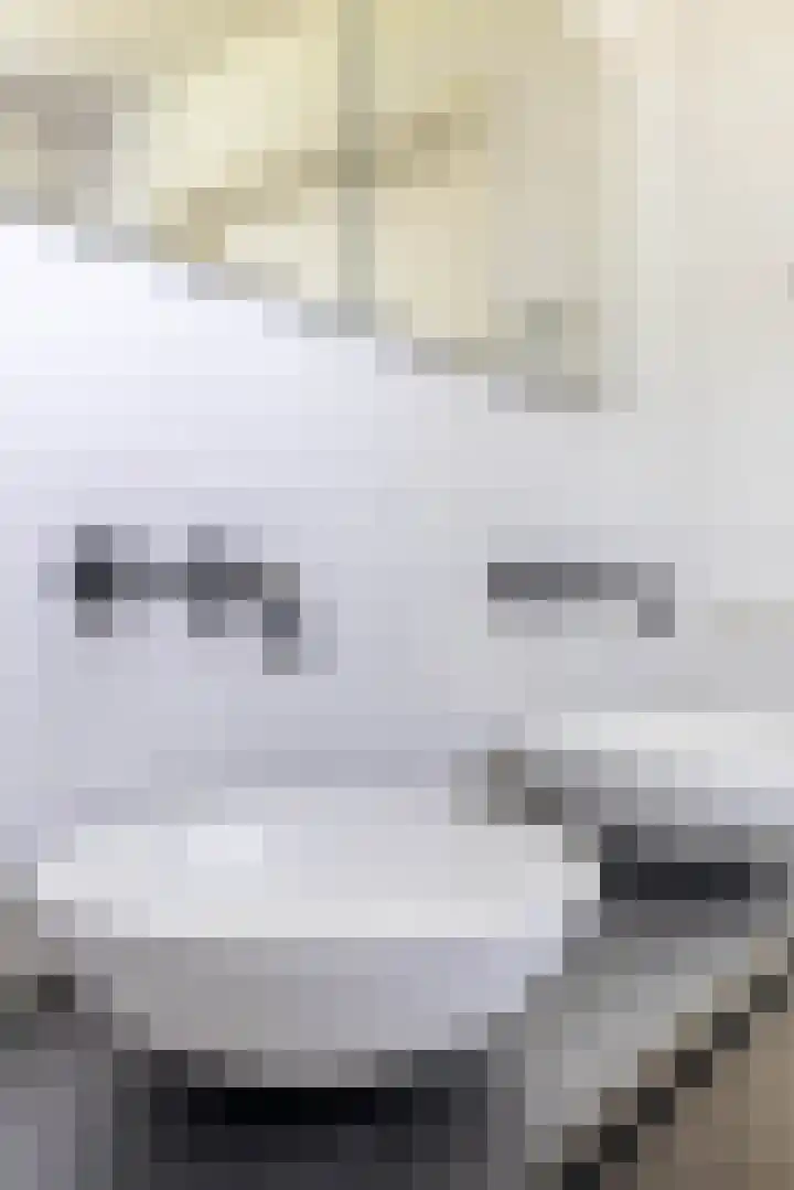 Molenbaan 3 Meijel thumbnail 40