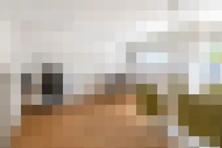 Molenbaan 3 Meijel thumbnail 42