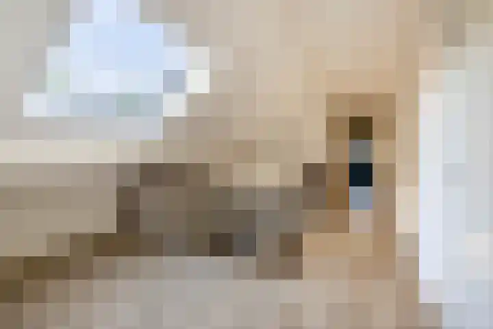 Molenbaan 3 Meijel thumbnail 46