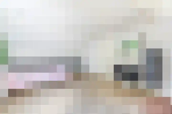 Molenbaan 3 Meijel thumbnail 53