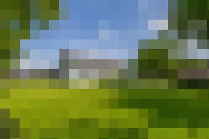 Molenbaan 3 Meijel thumbnail 67