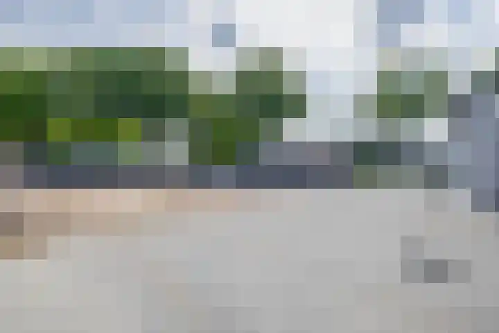Molenbaan 3 Meijel thumbnail 86