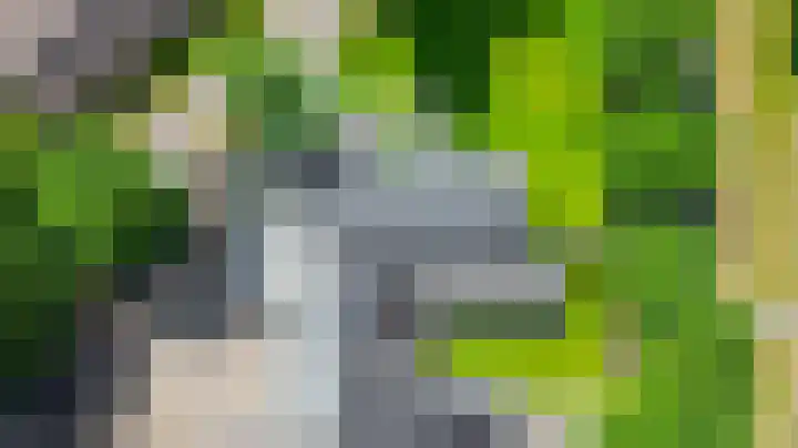 Molenbaan 3 Meijel thumbnail 88