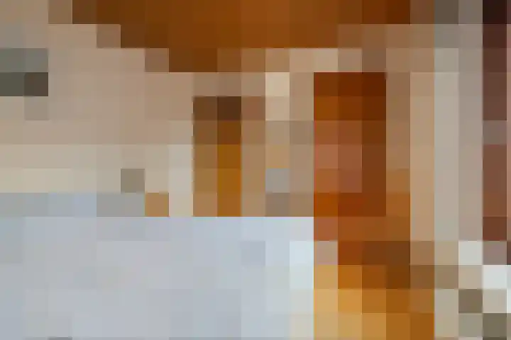 Molenbaan 4 Baarle-Nassau thumbnail 20