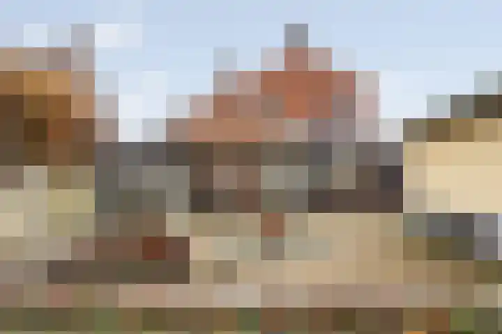 Molenbaan 4 Baarle-Nassau thumbnail 30