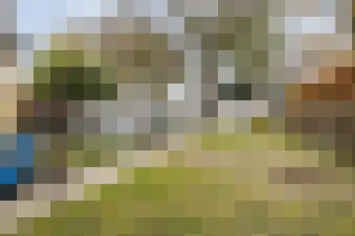 Molenbaan 4 Baarle-Nassau thumbnail 31