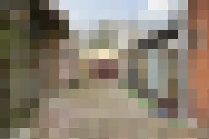 Molenbaan 4 Baarle-Nassau thumbnail 32