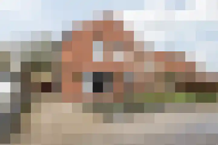 Molenbaan 4 Baarle-Nassau thumbnail 34