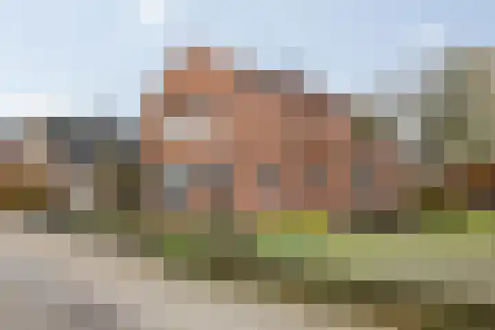 Molenbaan 4 Baarle-Nassau thumbnail 35