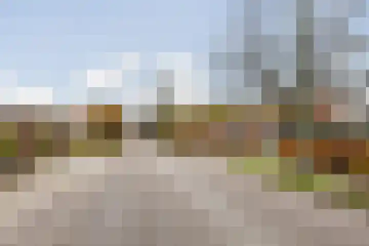 Molenbaan 4 Baarle-Nassau thumbnail 37