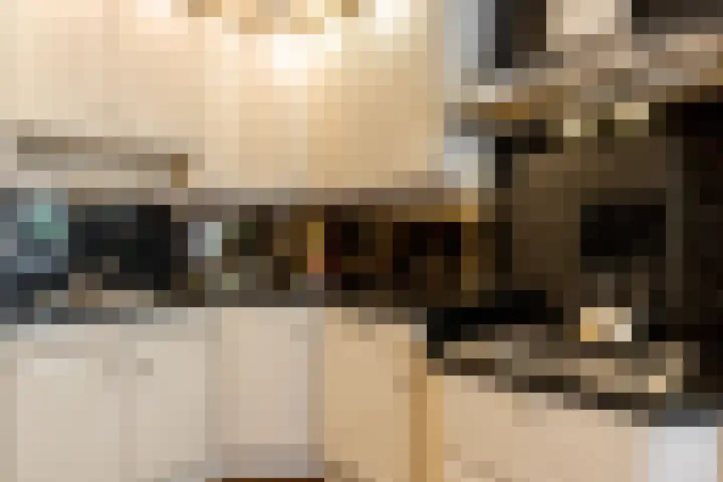 Molenbaan 8 A Sprundel thumbnail 10