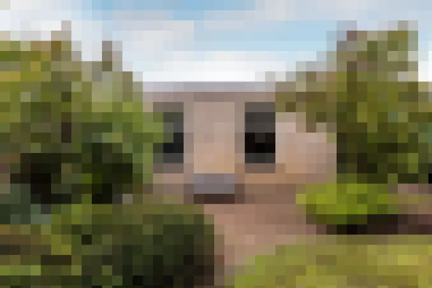 Molenbaan 8 A Sprundel thumbnail 25