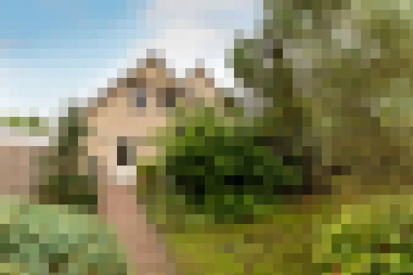 Molenbaan 8 A Sprundel thumbnail 28