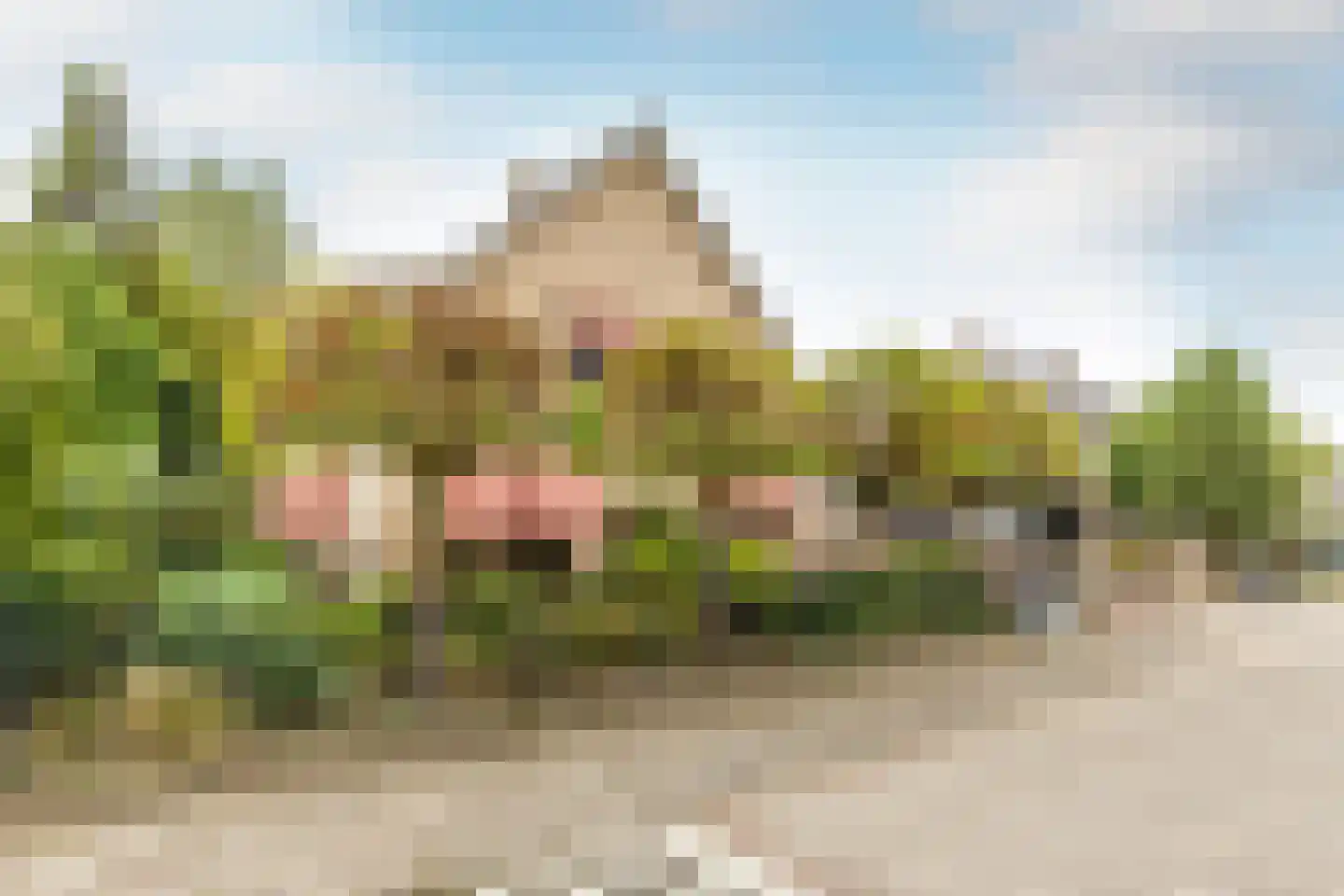 Molenbaan 8 A Sprundel thumbnail 30