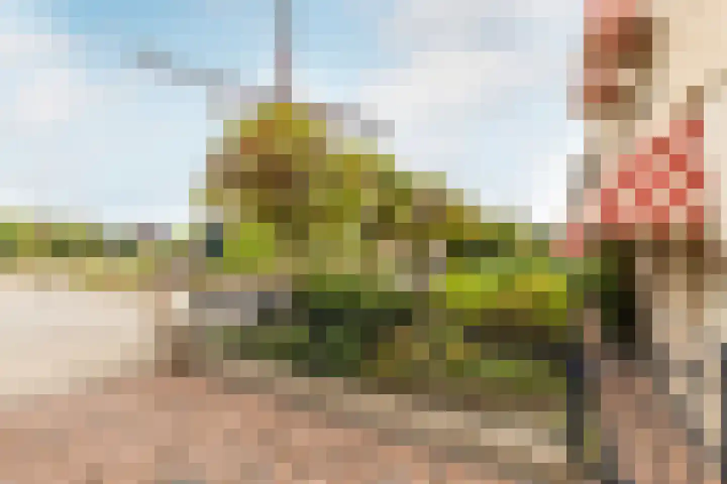 Molenbaan 8 A Sprundel thumbnail 32