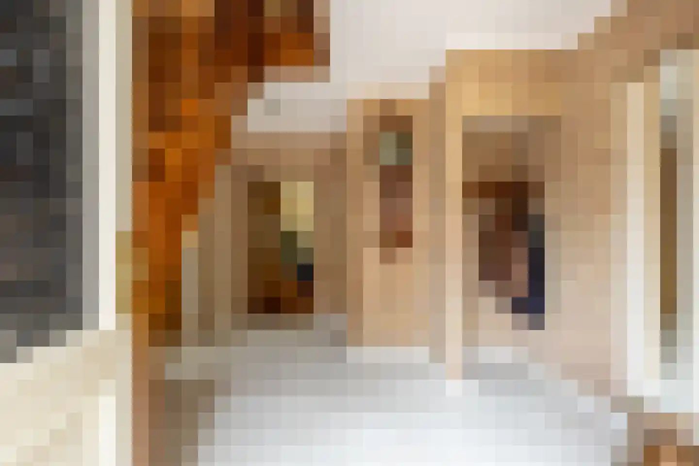 Molenbaan 8 A Sprundel thumbnail 6