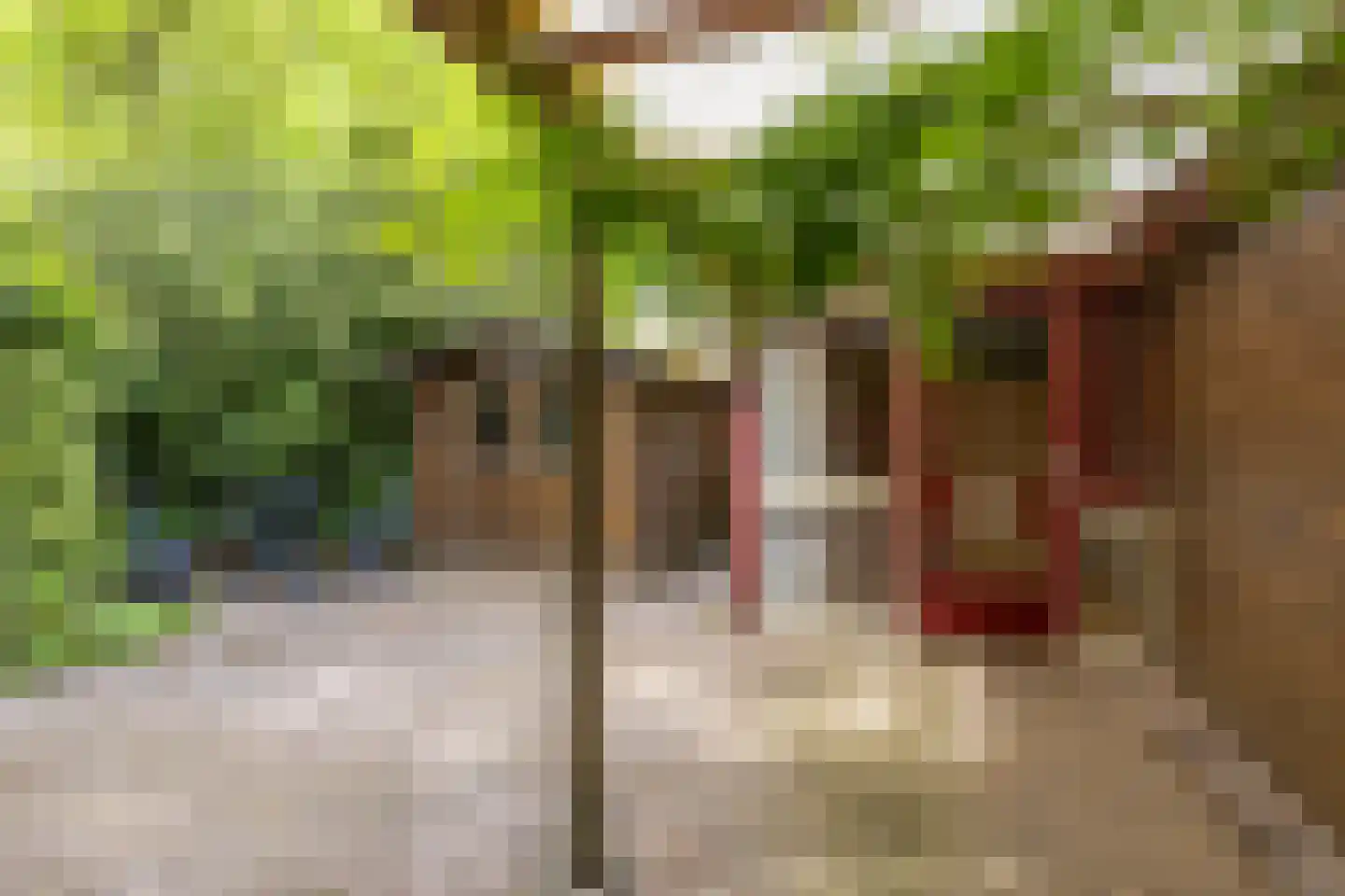 Molenbeek 1 Vaassen thumbnail 20