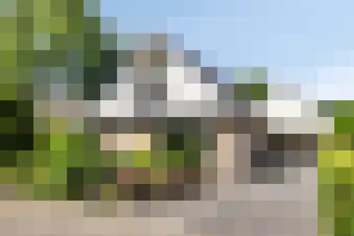 Molenbeek 10 Vaassen thumbnail 4