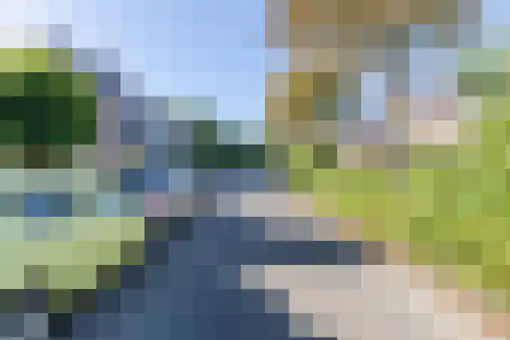 Molenbeek 102 Tegelen thumbnail 4