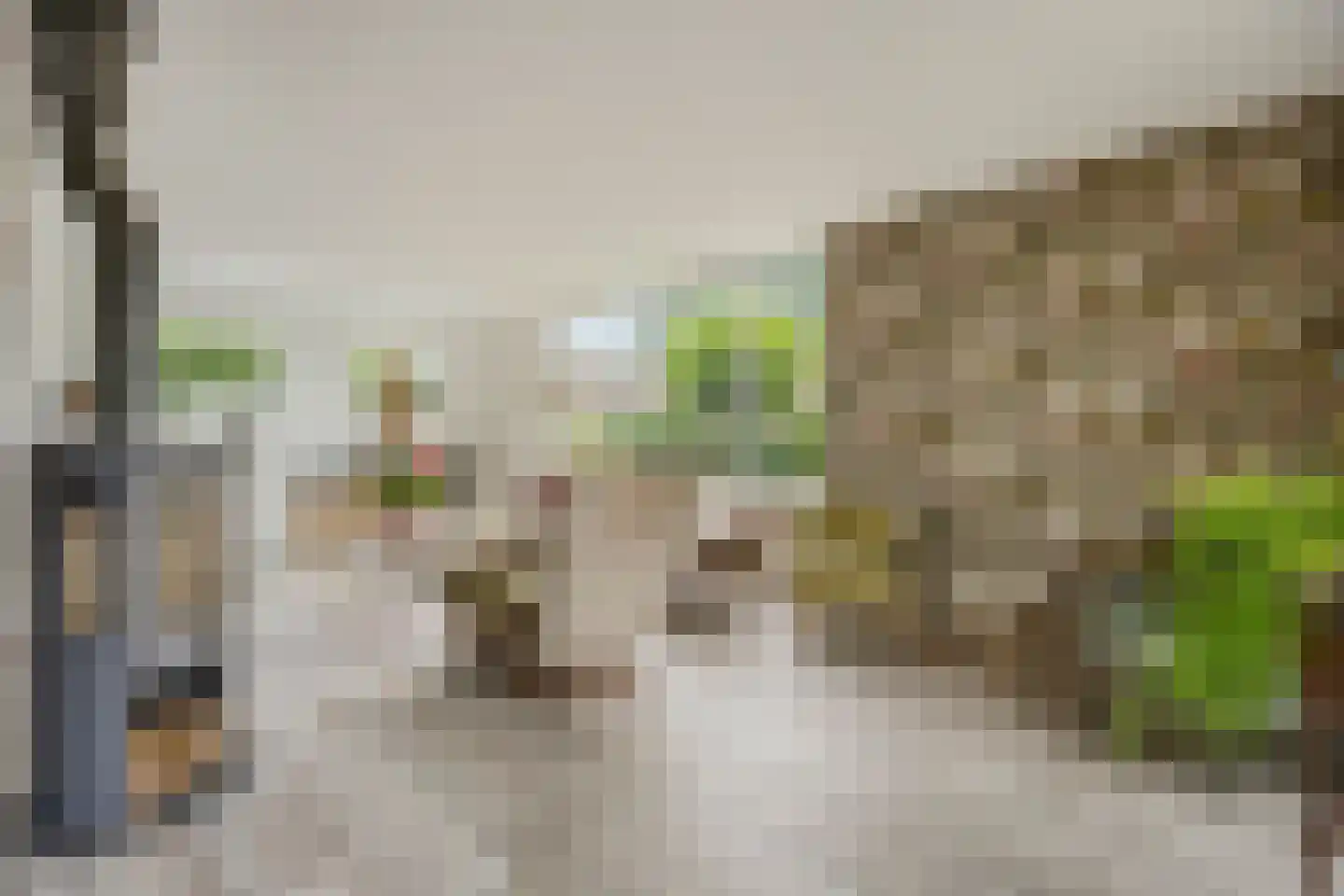 Molenbeek 12 Vaassen thumbnail 10