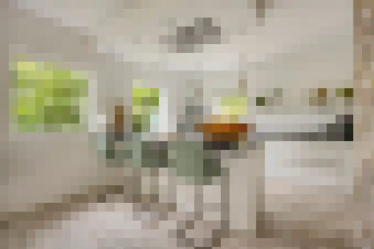 Molenbeek 12 Vaassen thumbnail 14