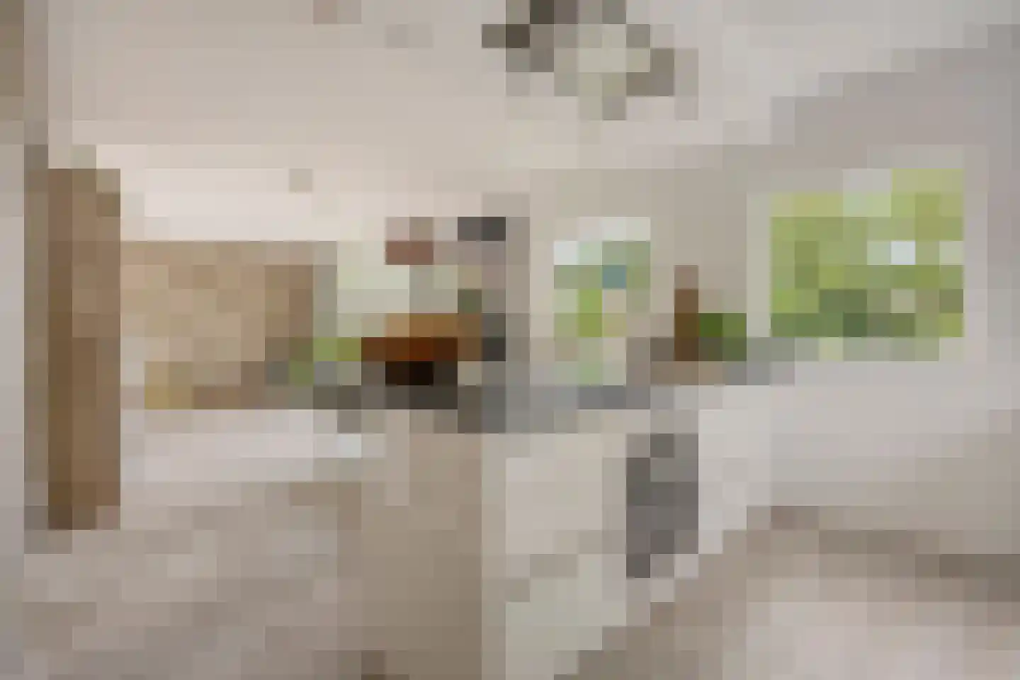 Molenbeek 12 Vaassen thumbnail 16