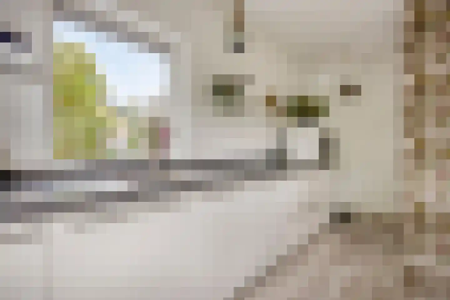 Molenbeek 12 Vaassen thumbnail 17