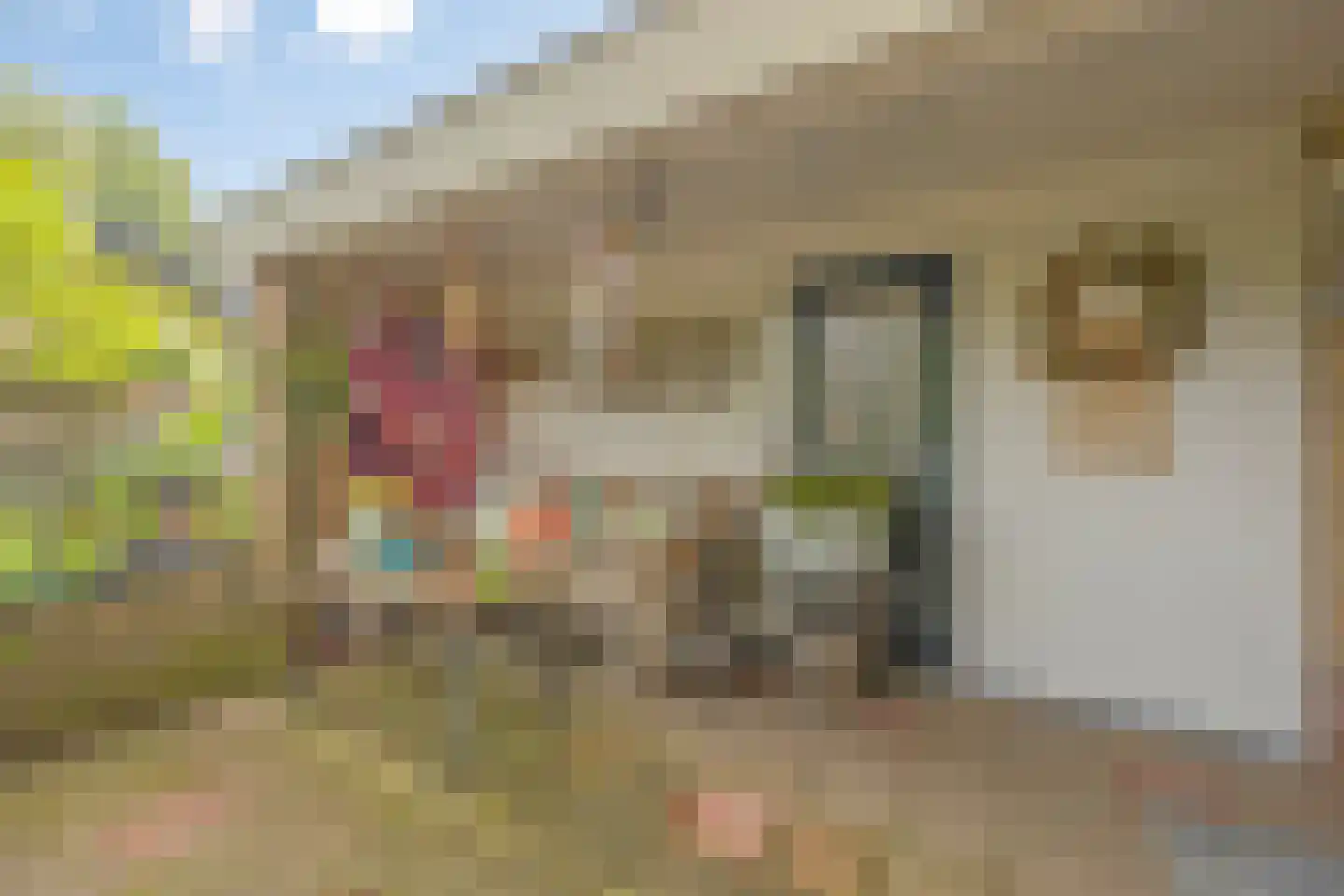 Molenbeek 12 Vaassen thumbnail 39