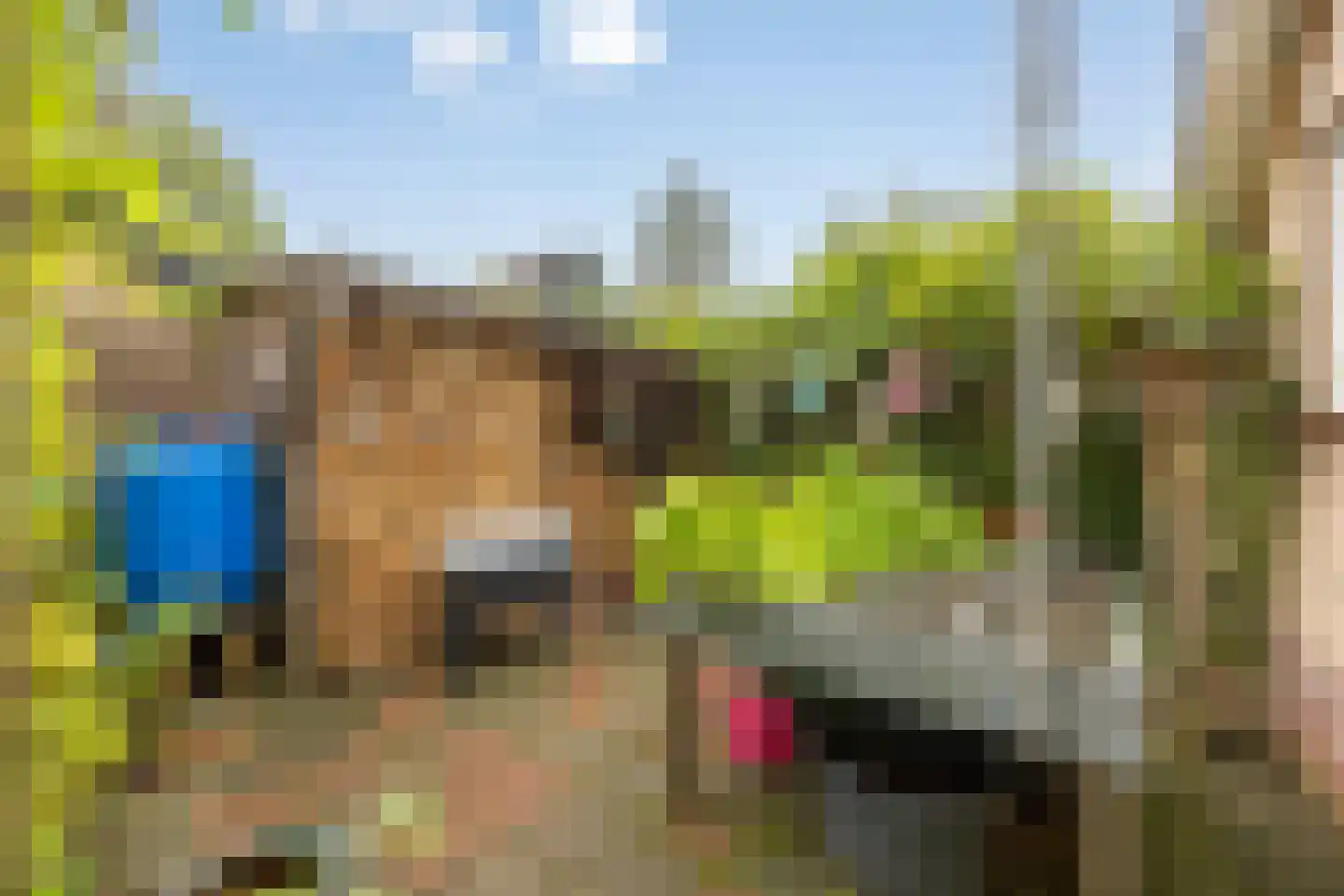 Molenbeek 12 Vaassen thumbnail 42