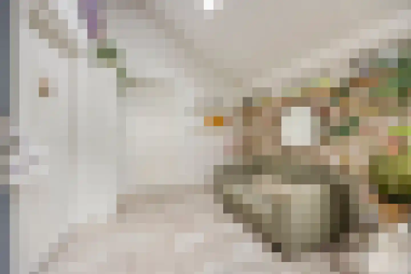 Molenbeek 12 Vaassen thumbnail 5
