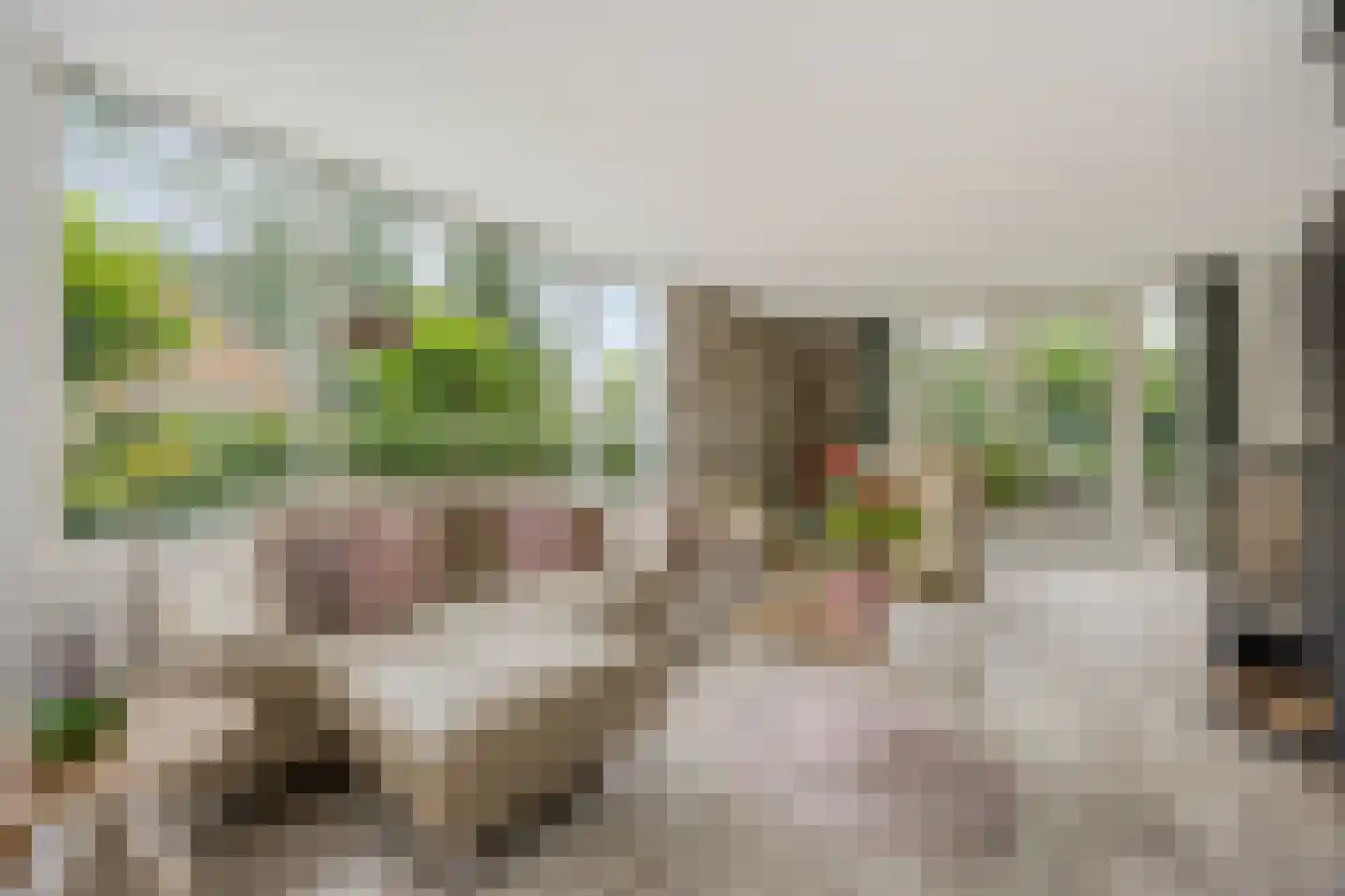 Molenbeek 12 Vaassen thumbnail 8